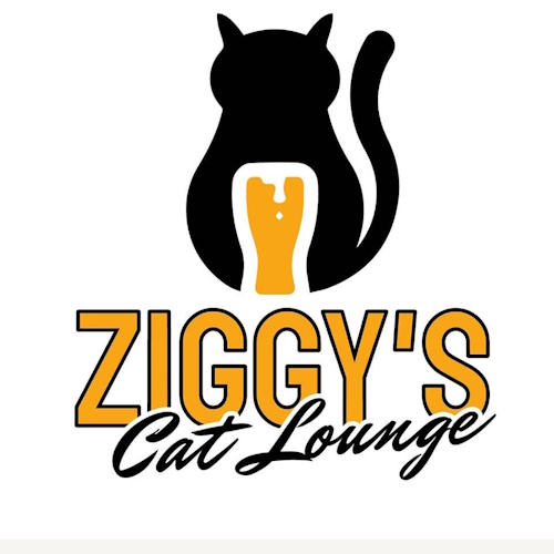Photo of a cat cafe called Ziggy's Cat Lounge submitted for their listing