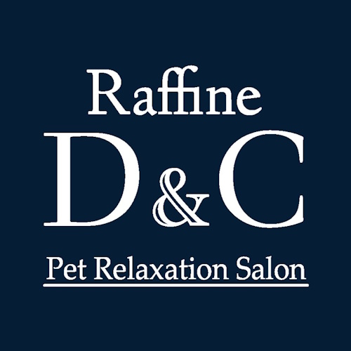 Photo of a cat cafe called Zono Rescue Cat Cafe submitted for their listing